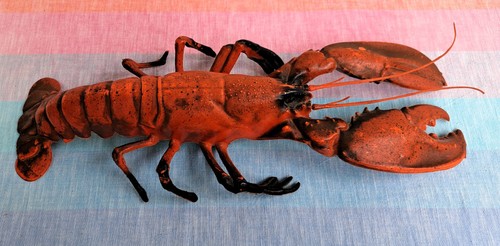 Xxl hummer meerestier - xxl,