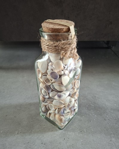 Maritime deko muscheln glas - deko, im