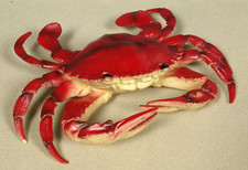 Deko Krabbe Krebs aus