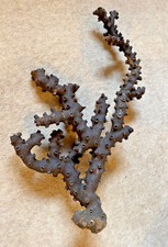 Großes Korallen-Dekostück